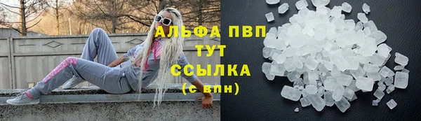 дмт Карпинск