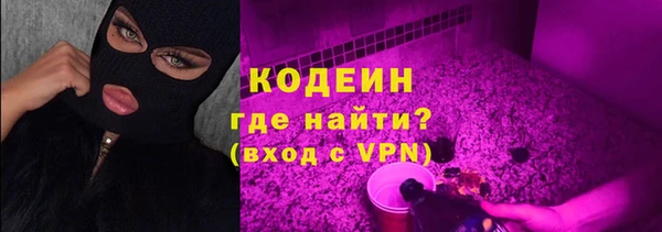 дмт Карпинск