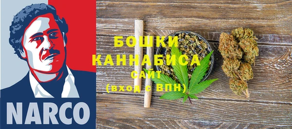 гашик Каменногорск