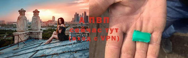дмт Карпинск