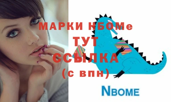 гашик Каменногорск
