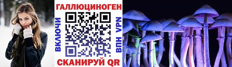 Псилоцибиновые грибы прущие грибы  Стародуб 